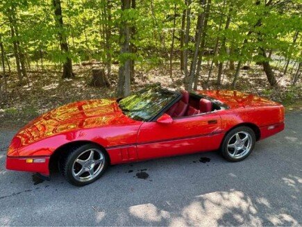 Photo 1 for 1986 Chevrolet Corvette