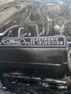 Thumbnail Photo 6 for 1986 Ford Bronco XLT
