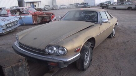 Photo 1 for 1986 Jaguar XJ6