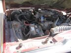 Thumbnail Photo 4 for 1986 Jeep Grand Wagoneer