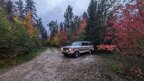 Thumbnail Photo 1 for 1986 Jeep Grand Wagoneer