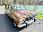 Thumbnail Photo 1 for 1986 Jeep Wagoneer