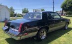 Thumbnail Photo 6 for 1986 Oldsmobile Cutlass Supreme 442 Coupe