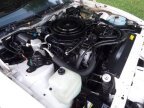 Thumbnail Photo 6 for 1986 Pontiac Firebird Trans Am