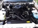 Thumbnail Photo 4 for 1986 Pontiac Firebird Trans Am