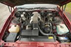 Thumbnail Photo 4 for 1986 Pontiac Firebird Trans Am Coupe