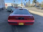 Thumbnail Photo 4 for 1986 Pontiac Firebird