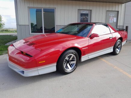 Photo 1 for 1986 Pontiac Firebird