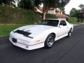 1986 Pontiac Firebird Trans Am