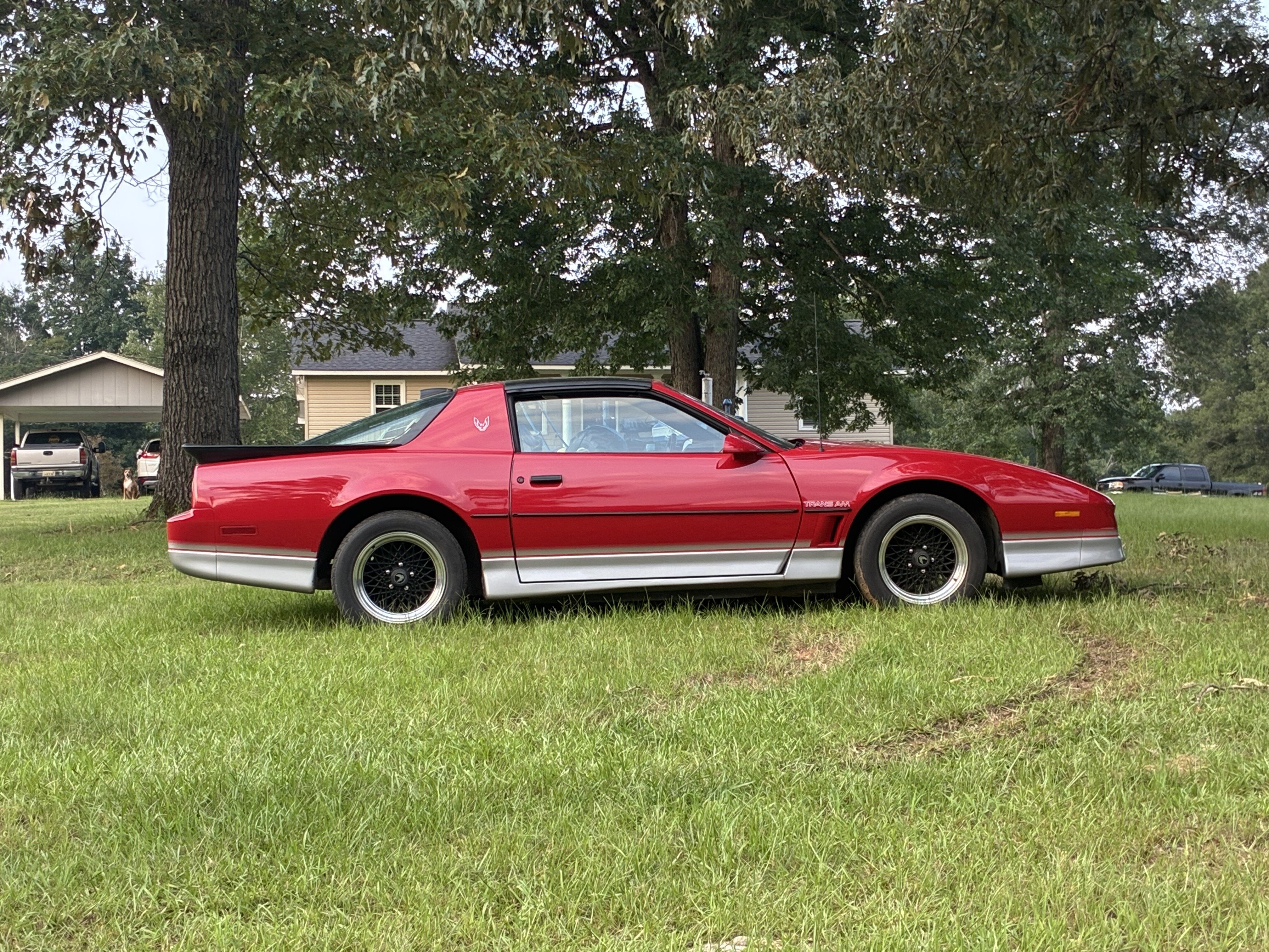 1986 Pontiac Firebird Trans Am