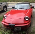 Thumbnail Photo 6 for 1987 Alfa Romeo Spider