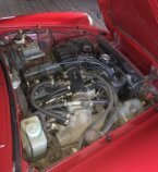 Thumbnail Photo 1 for 1987 Alfa Romeo Spider