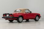 Thumbnail Photo 6 for 1987 Alfa Romeo Spider Veloce