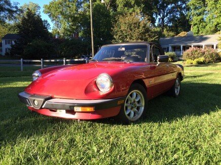 Photo 1 for 1987 Alfa Romeo Spider Graduate for Sale by Owner