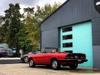Thumbnail Photo 5 for 1987 Alfa Romeo Spider
