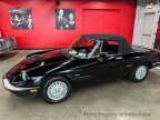 Thumbnail Photo 1 for 1987 Alfa Romeo Spider