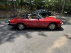 Thumbnail Photo 1 for 1987 Alfa Romeo Spider Graduate for Sale by Owner