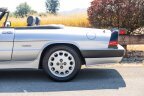 Thumbnail Photo 5 for 1987 Alfa Romeo Spider Quadrifoglio