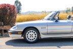 Thumbnail Photo 4 for 1987 Alfa Romeo Spider Quadrifoglio
