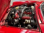 Thumbnail Photo 5 for 1987 Alfa Romeo Spider