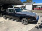 Thumbnail Photo 2 for 1987 Avanti II