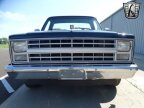 Thumbnail Photo 2 for 1987 Chevrolet C/K Truck Custom Deluxe