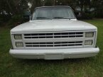 Thumbnail Photo 4 for 1987 Chevrolet C/K Truck