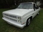 Thumbnail Photo 3 for 1987 Chevrolet C/K Truck
