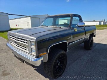 1987 Chevrolet C/K Truck