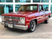 1987 Chevrolet C/K Truck 2WD Regular Cab 1500