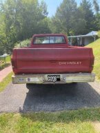 Thumbnail Photo 2 for 1987 Chevrolet Other Chevrolet Models