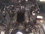 Thumbnail Photo 1 for 1987 Ford Mustang