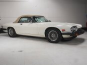 1987 Jaguar XJS V12 Coupe