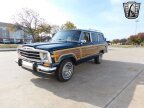 Thumbnail Photo 2 for 1987 Jeep Grand Wagoneer