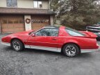 Thumbnail Photo 3 for 1987 Pontiac Firebird Trans Am for Sale by Owner