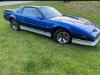 Thumbnail Photo 4 for 1987 Pontiac Firebird