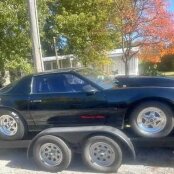 1987 Pontiac Firebird