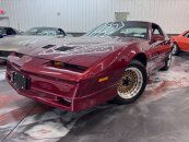 1987 Pontiac Firebird