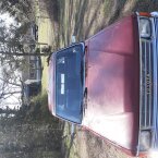 Thumbnail Photo 3 for 1987 Toyota Pickup 2WD Regular Cab Long Bed for Sale by Owner