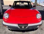 Thumbnail Photo 1 for 1988 Alfa Romeo Spider Graduate