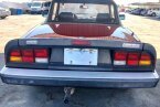 Thumbnail Photo 4 for 1988 Alfa Romeo Spider Graduate