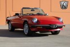 Thumbnail Photo 5 for 1988 Alfa Romeo Spider Graduate