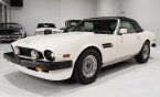 Thumbnail Photo 4 for 1988 Aston Martin V8 Vantage Volante