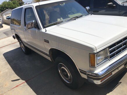 Photo 1 for 1988 Chevrolet S10 Blazer 2WD 2-Door for Sale by Owner