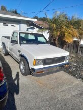 1988 Chevrolet S10 Pickup 2WD Regular Cab