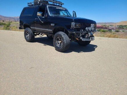 Photo 1 for 1988 Ford Bronco XLT