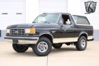 Thumbnail Photo 3 for 1988 Ford Bronco Eddie Bauer