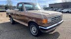 Thumbnail Photo 1 for 1988 Ford F150