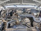 Thumbnail Photo 2 for 1988 Ford F350