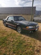 Thumbnail Photo 2 for 1988 Ford Mustang Convertible for Sale by Owner